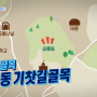 [SBS] 백종원의골목식당 공릉동 기찻길골목 출연식당 리스트 (2020.02.12~03.11)