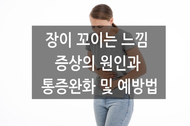 장이 꼬이는 느낌 증상의 원인과 통증완화 및 예방법 : 네이버 블로그