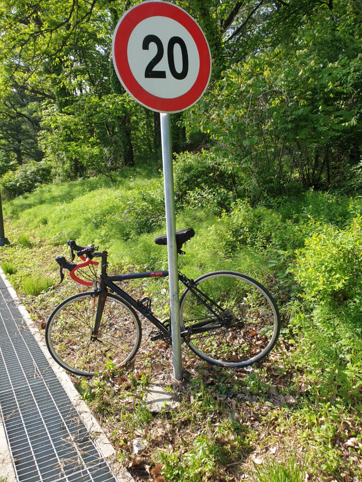 간 해독이 먼저? 경맥 해독이 우선! / 자전거 타기가 힐링 스포츠인 이유 : 네이버 블로그