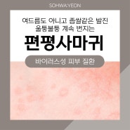 구리편평사마귀 여드름도 아니고 뭔가요?