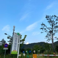 [캠핑]홍천강 오토 캠핑장 (지난 여름) 첫 캠핑 썰..