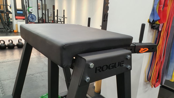 로그사 제트 하이퍼 ( ROGUE Z HYPER) , 힙업을 위한 장비! : 네이버 블로그