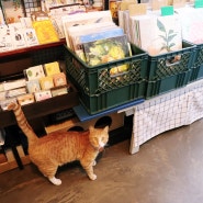 고양이 천국 '선유도 고양이 2호점', 고양이 작가님들 작품·소품으로 가득한 냥덕템을 위한 마켓