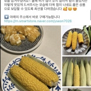 현선농장 초당옥수수 예약판매 시작! 제주 초당옥수수🌽🌽🌽