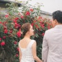 [wedding]봄날의 웨딩 다섯번째. 딜라이트 제주스냅