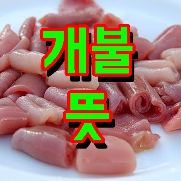 개불 뜻 생소하지만 놀라지말아요 : 네이버 블로그