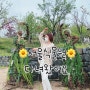 [데이트추천] 마곡 ‘서울 식물원’ 다녀왔어요.