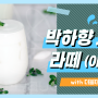 [더블데이] 박하향 크림 라떼 파우더로 아이스 박하향 크림 라떼 (Iced Peppermint Cream Latte) 만들기 ★