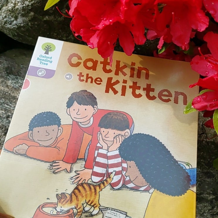 ORT 1+ 단계 Catkin the Kitten 아기고양이 캣킨 : 네이버 블로그