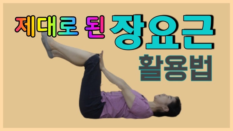 [ 장요근 활용법 ] 장골을 뒤로 밀어야 바로 서고 바로 걷는 힘이 좋아진다 / 둔부근 보다 장골근 먼저 / 기초 코어운동 ...