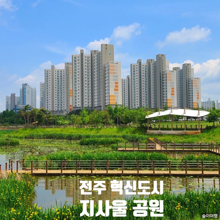 〔전북 전주〕전주 혁신도시 지사울 공원-연꽃 상황 체크