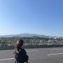 [엄마랑 제주여행] #8 다시 김포로! 렌트카 반납, 제주공항 발권, 면세점 구경