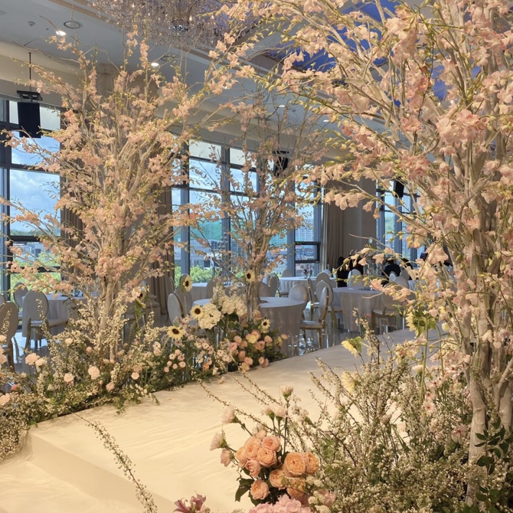 W2 대구 웨딩홀 투어 대구 수성호텔, 노비아갈라 동촌점 네이버 블로그