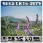 [캠핑후기] 짧아서 딱 좋은 노지캠핑! 경북캠핑, 경남캠핑, 밀양캠핑, 청도캠핑, 부산캠핑, 카라반, 차박, 루나델타