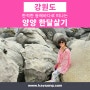 디지털노마드의 성지, 양양 한달살기 소개!