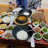 하남 애견동반식당 '마방집' | 몰리스펫 노즈워크 '킁킁 꿀호떡'