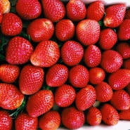 딸기는 효능을 알아보자 피부에 좋은 영양소 듬뿍