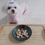 강아지수제간식 - 밤시 (이웃반려견 보리가 맛있게 먹길래 주문해본^^)