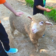 아이들과 함께한 덕평공룡수목원, 갈만한가? 갈만하다..