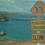 세계의 특이한 표지판. interesting road signs in the world!