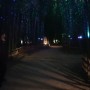 울산 여행 : 태화강 국가정원 십리대숲. 달맞이 휴게소 해물짬뽕 팔선. 울산가볼만한곳