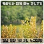 [캠핑후기] 눈부신 봄날의 노지캠핑! 경북캠핑, 경남캠핑, 밀양캠핑, 청도캠핑, 부산캠핑, 카라반, 차박