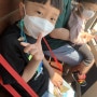 아기랑 갈만한곳 :: 부산 해운대 해변열차 기차 요금, 할인 정보