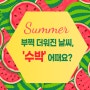 [카드뉴스] 부쩍 더워진 날씨, ‘수박’ 어때요?