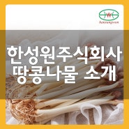 한성원 주식회사 땅콩나물 소개