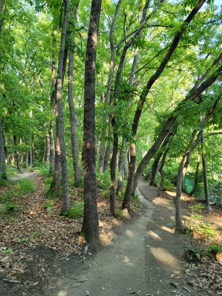 아름다운 산길 인후공원 : 네이버 블로그