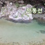 [강원] 양구 천미계곡 무료 물놀이 & 노지캠핑 & 천렵 여행정보