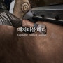 컬러콜라 | 베지터블 레더 Vegetable Tanned Leather