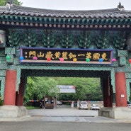 김천 가볼만한 곳 1600년 역사의 고찰 직지사 (사명대사공원)