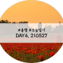 [신문일기] DAY.4 210527