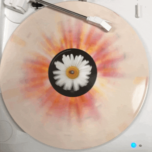 Sigrid - Sucker Punch (Splatter) LP : 네이버 블로그