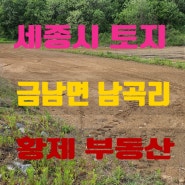 세종시 토지