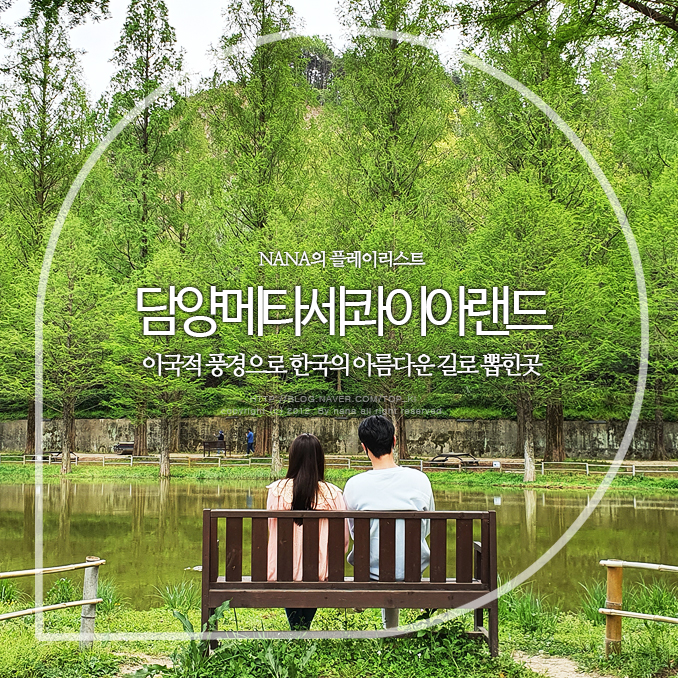 담양 메타세콰이어랜드 가로수길 산책 : 네이버 블로그