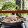 [동해] 무릉계곡 야외정자에서 먹는 시원뜨끈한 백숙 맛집 영진회관