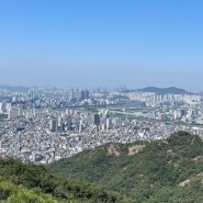 진짜 오늘일기 with 등산 :: 일상, 맛집, 여행, 다야, 아차산, 서울