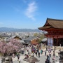 [2019 일본철도 여행기 #2] 봄이 무르익은 교토의 풍경, 오사카 성