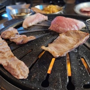 돗소리 / 대구 고기 맛집(청구네거리, 신천시장, 범어동)