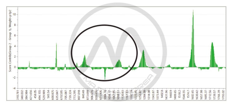라만 분광기를 이용한 재활용 폴리머 압출을 위한 공정 모니터링, Raman process monitoring for ...