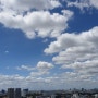 방콕의 맑은 하늘과 다양한 모양의 구름들 구경하세요~