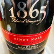 [와인] 1865 피노 누아 (PINOT NOIR)