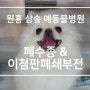 [원흥 삼송 창릉 서오릉 화전 향동 도래울 도내동 예 동물병원] 강아지 이첨판폐쇄부전, 강아지 폐수종, 강아지 심장병