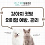 강아지가 귀를 긁어요 : 강아지귓병 / 강아지외이염 예방 및 관리법