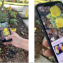 꽃밭일기, 구글 렌즈 Google Lens 를 사용해서 꽃이름 알아내기 , 일년초 annual 꽃심기 #오늘일기