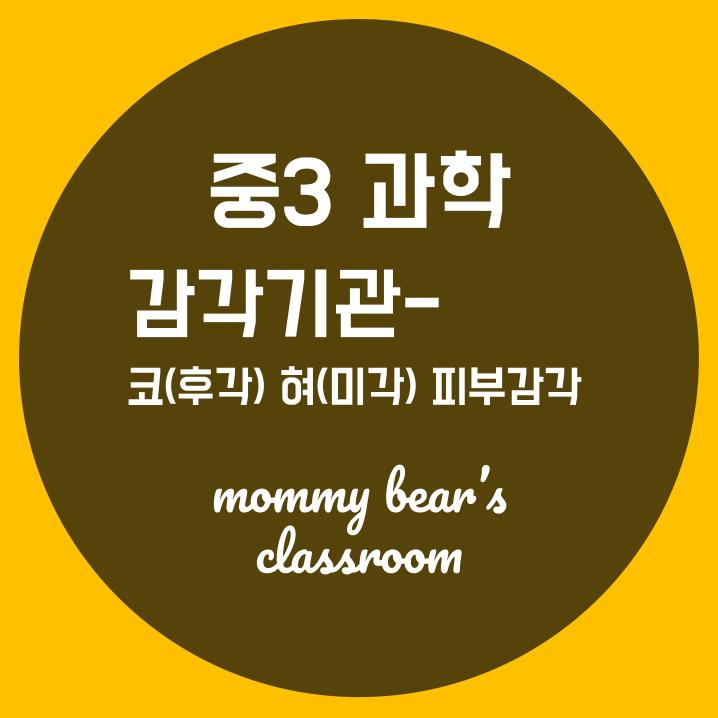 중3 과학- 감각기관 - 코(후각)/ 후각의 전달 경로/ 혀(미각)/ 미각의 전달 경로/ 피부 감각/ 피부 감각의 전달 경로 ...