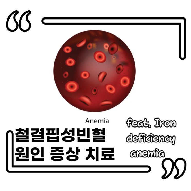 Iron deficiency anemia 철분결핍성빈혈 원인 임상증상 경구복용약 치료 : 네이버 블로그