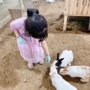 서울 근교 자연체험 온동물체험농장 후기